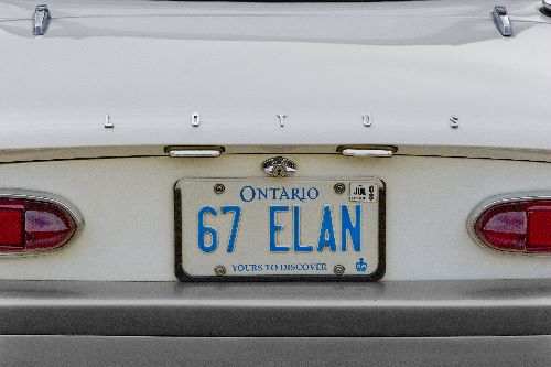 WhiteElan.jpg